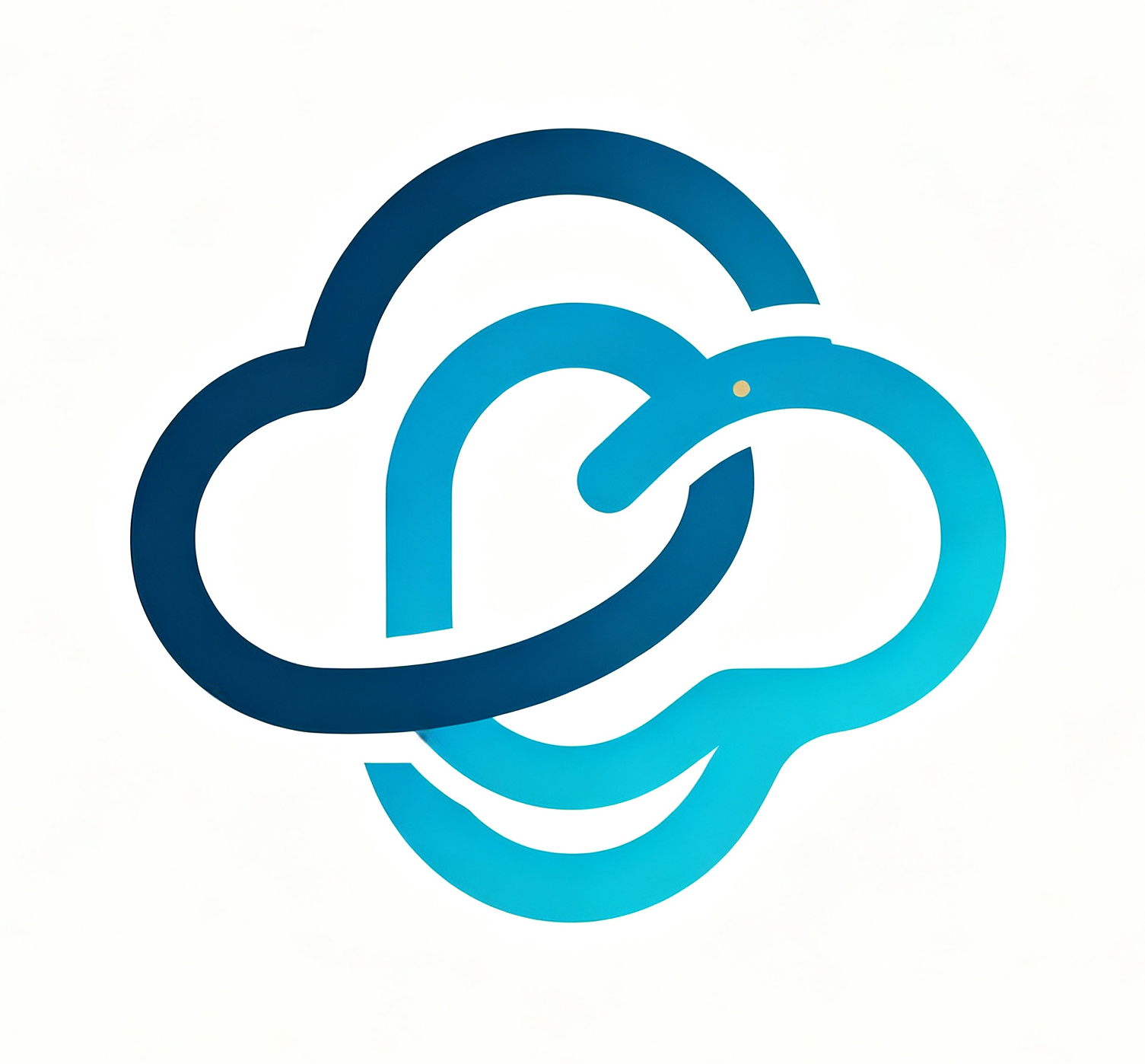温州云计划科技 LOGO